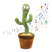 Cactus bailarin