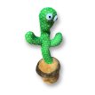 Cactus bailarin