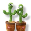 Cactus bailarin